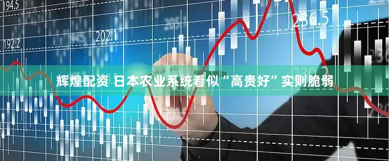 辉煌配资 日本农业系统看似“高贵好”实则脆弱