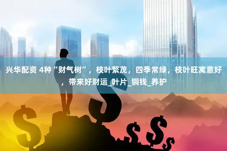 兴华配资 4种“财气树”，枝叶繁茂，四季常绿，枝叶旺寓意好，带来好财运_叶片_铜钱_养护